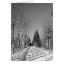 Maine_Black+White_44 Greeting Cards