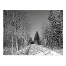 Maine_Black+White_44 Post Card