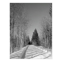 Maine_Black+White_44 Postcards