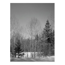 Maine_Black+White_50 Post Card