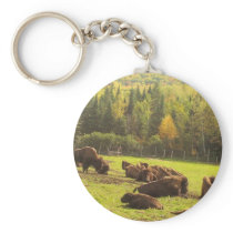 Maine Buffalo Keychains