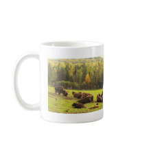Maine Buffalo Coffee Mugs