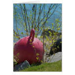Maine_Coast_24 Greeting Cards
