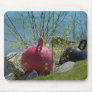 Maine_Coast_24 Mouse Mat