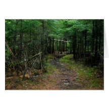 Maine Coast Cards