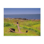 Maine Coast postcards