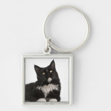 Maine Coon (15 months old) Key Chain