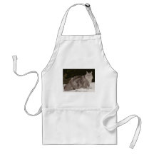 maine coon aprons