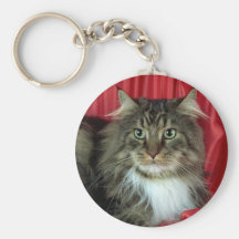Maine Coon, brown tabby and white Keychains