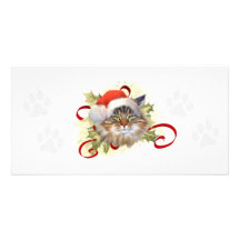 Maine Coon Cat Christmas Photo Card