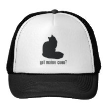 Maine Coon Cat Hat