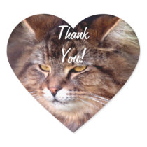 Maine Coon Cat Lover Heart THANK YOU Stickers