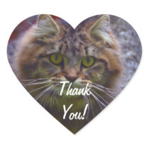 Maine Coon Cat Lover Heart THANK YOU Stickers