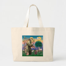 Maine Coon Cat  - St Francis Canvas Bag