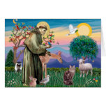 Maine Coon Cat  - St Francis Greeting Card