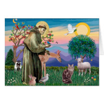 Maine Coon Cat  - St Francis Greeting Card