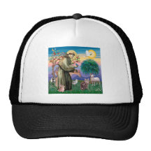 Maine Coon Cat  - St Francis Hat