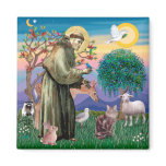 Maine Coon Cat  - St Francis magnets
