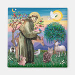 Maine Coon Cat  - St Francis Magnets