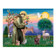 Maine Coon Cat  - St Francis Postcard