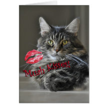 Maine Coon Cat Valentine's Greeting Card
