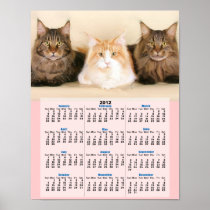 Maine coon cats 2012 calendar poster