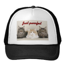 Maine Coon Cats Trucker Hat