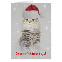 Maine Coon Christmas Card