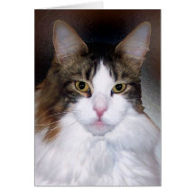 Maine Coon greeting card