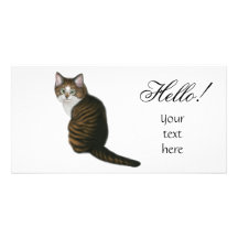 Maine Coon Hello Photo Card