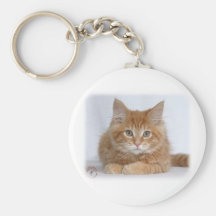 Maine Coon Kitten 9Y226D-373a Key Chains
