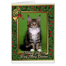Maine Coon Kitten Blank Christmas Card