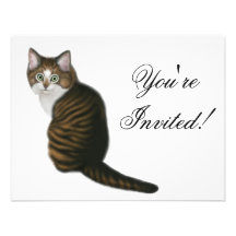 Maine Coon Kitten Invitation