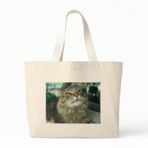 Maine Coon kitty Bags
