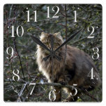 Maine Coon Long-hair Tabby Cat Animal Pet Clock