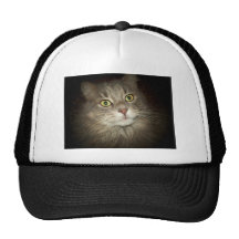 Maine Coon Mesh Hats