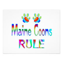 Maine Coons Rule Announcement