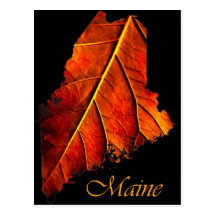 Maine Fall Photo Foliage | Maine Autumn Foliage Post Cards