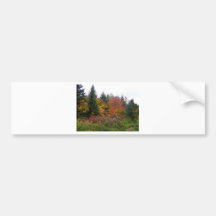 Maine Foliage Bumper Sticker