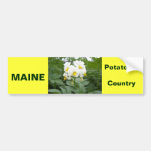Maine Potato Country Bumpersticker Bumper Stickers