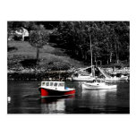 Maine Red And Black Boats Maine Post Card