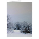 Maine Snow Country cards