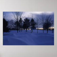 Maine Snow Posters