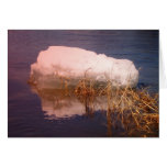 Maine Spring Cards
