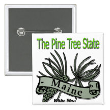 Maine The Pine Tree state white pine