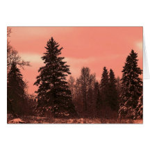 maine winter greeting cards