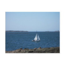 Maine's Coastal Landscape Postcard