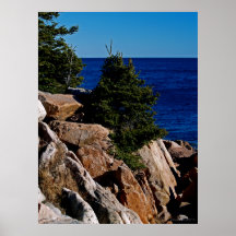 Maine's Rocky Coast Poster