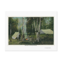 MaineView of a Campground in the Maine Woods Post Card