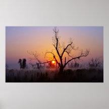 Maintenant le Sun (la Géorgie) Posters
